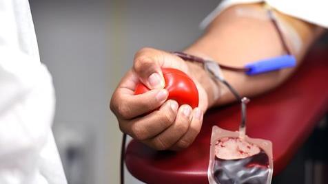 Hand während des Blutspendens, hält roten Gummiball zwischen den Fingern